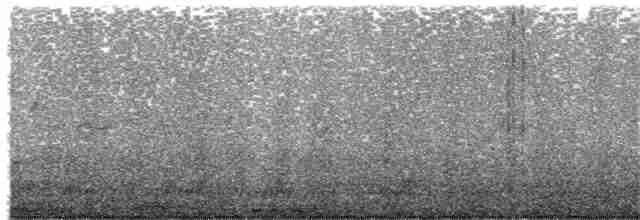 אוריה שחורה - ML401187101