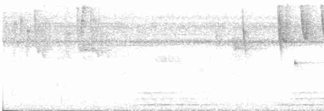Бронзовый колибри-отшельник - ML401384771