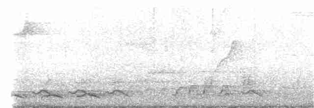 svartnakkepirol (diffusus) - ML401407851