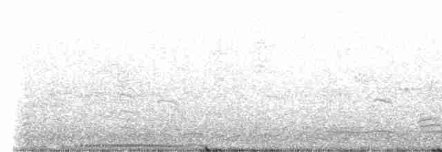 Rock Pigeon (Feral Pigeon) - ML401408061
