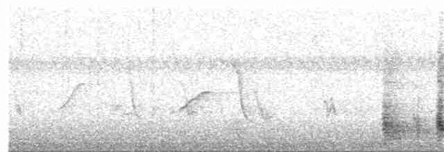 svartbrystfrankolin - ML401409191