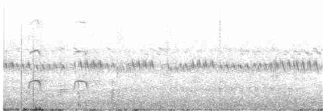 ústřičník dlouhozobý - ML401420621