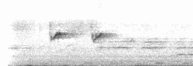 Атласная нектарница - ML401553641