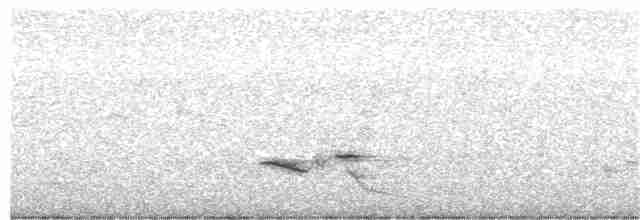 Rufous-tailed Lark - ML401554101