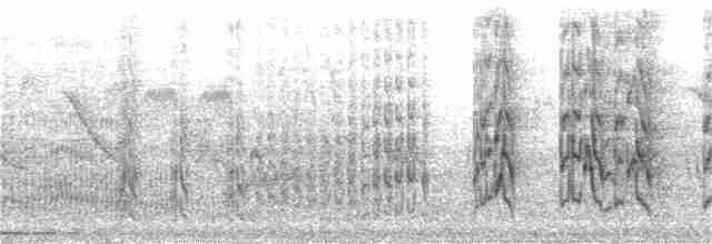 mníšek šedý (ssp. luchsi) - ML401603061