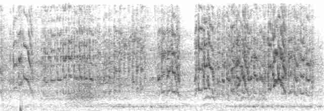 mníšek šedý (ssp. luchsi) - ML401606481