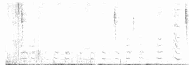 Gallinule d'Amérique - ML401638491