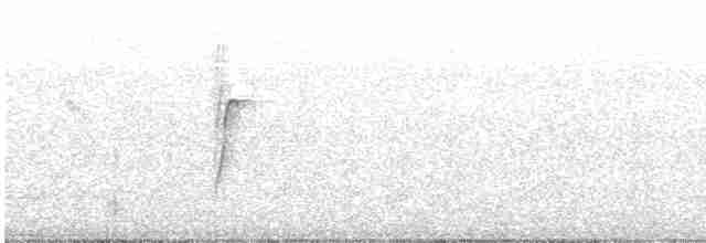 Светлоголовая якамара - ML401648181