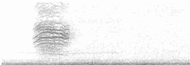 Hermit Thrush (guttatus Group) - ML401702971
