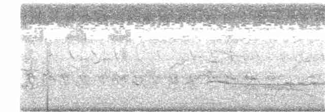 Ібіс сивоперий - ML401765381