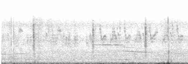 Clamorous Reed Warbler - ML401810331