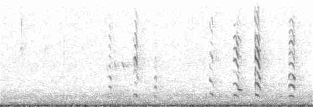 Black-tailed Godwit - ML401866261
