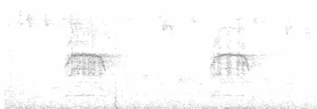 kakadu hnědohlavý - ML402189971