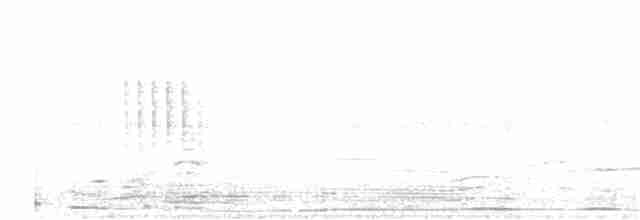 Euli-txori papargorria - ML402231551