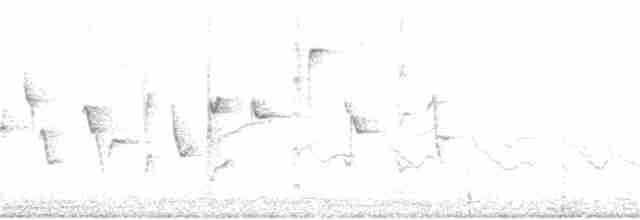 Pepitero del Orinoco - ML40227391
