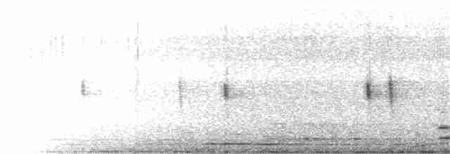 Дрізд-короткодзьоб плямистоволий [група guttatus] - ML402547391