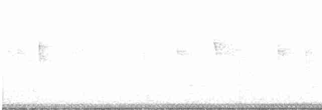 Pied-billed Grebe - ML402601071