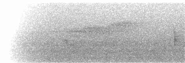 Kara Kanatlı Piranga - ML40277811