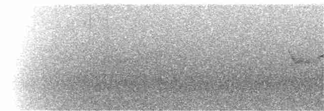 Трясогузковый певун - ML40278291