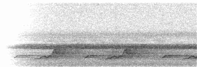 Schwarzkehl-Nachtschwalbe - ML40279961