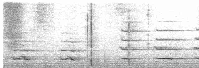  - Pallas's Fish-Eagle