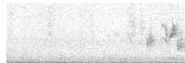 hussmett (grenadensis) - ML402914811