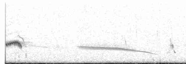 Karoo Long-billed Lark (Benguela) - ML402932761