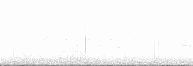 Дрізд-короткодзьоб плямистоволий - ML402956881