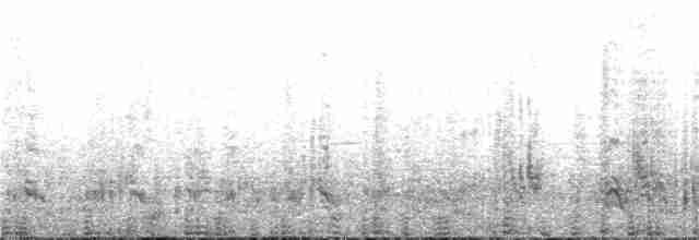 אלבטרוס שחור-גבות - ML402963931