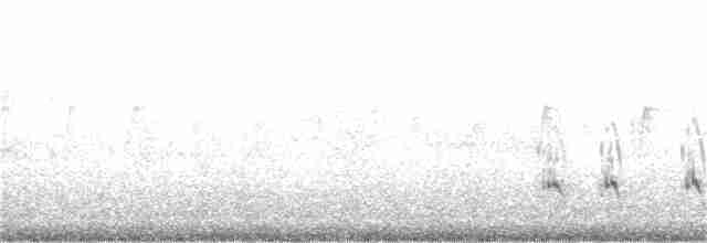 Little Ringed Plover - ML403021801