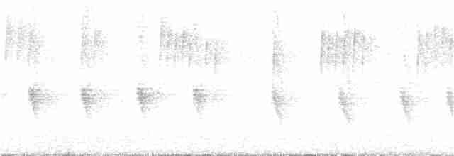 Колібрі-шаблекрил юкатанський (підвид excellens) - ML403114591