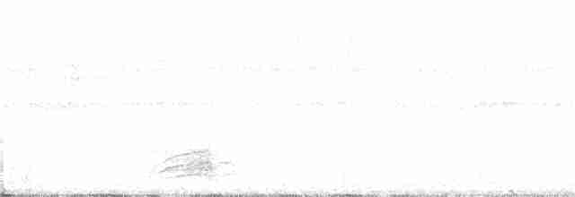 Gelbschnabelkassike (holosericeus/flavirostris) - ML403115291