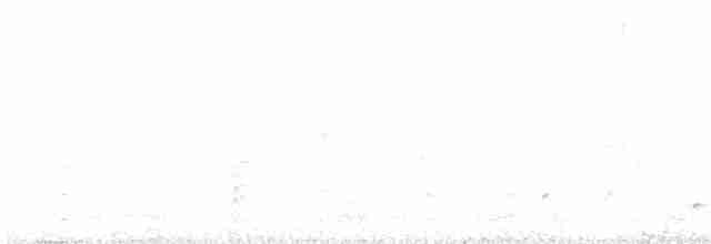 gråbrystparadismonark (affinis gr.) - ML403123211