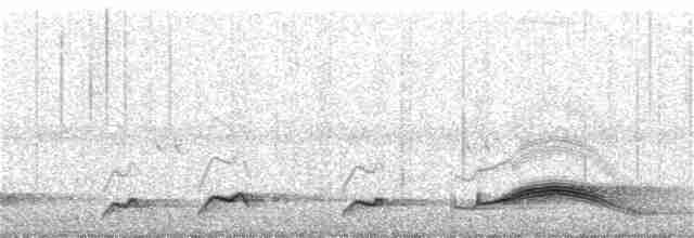 Pauraquenachtschwalbe - ML403174901