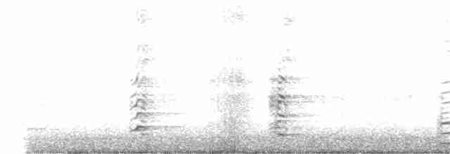 Малая канадская казарка (leucopareia) - ML403292451
