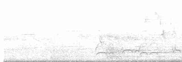 White-eared Puffbird - ML403435671