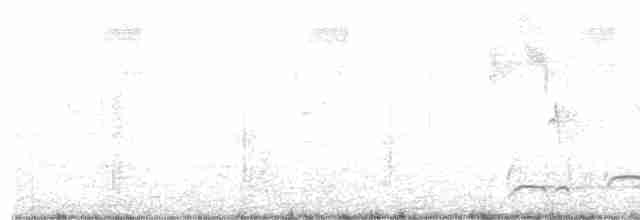 White-eared Puffbird - ML403435691