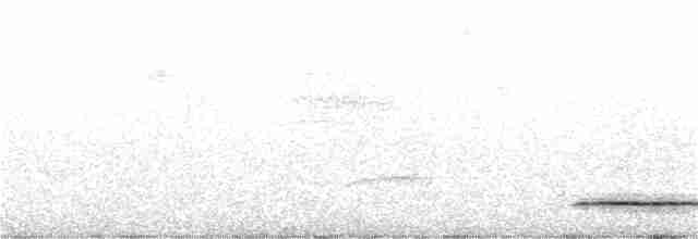 Thicket Tinamou - ML403618101