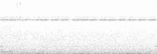 Thicket Tinamou - ML403618961