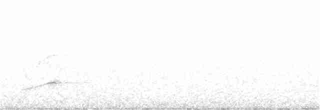 Thicket Tinamou - ML403621851