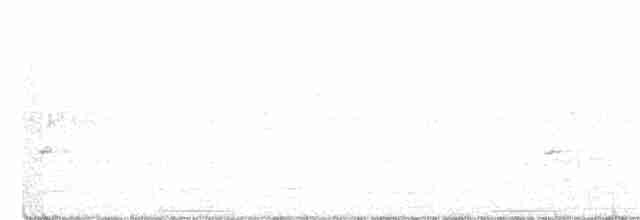 holub pestrokřídlý - ML403680651
