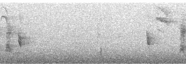 Rötelkopftangare (viridissima/toddi) - ML40373