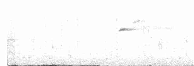 Batı Amerika Sinekkapanı (occidentalis/hellmayri) - ML403774101