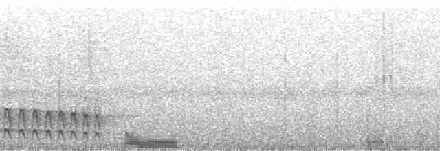Olivgrau-Ameisenvogel - ML40378