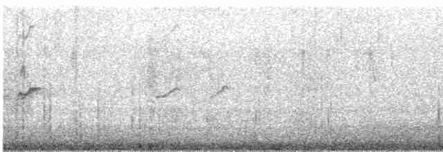 Long-tailed Rosefinch - ML403934271