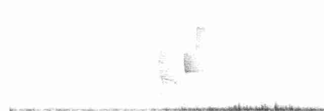 Vireo Ojiblanco (grupo griseus) - ML404050161
