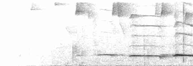Kestane Başlı Yerçavuşu - ML404263601