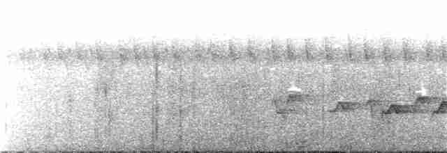 Bulbul Indicador - ML404315631