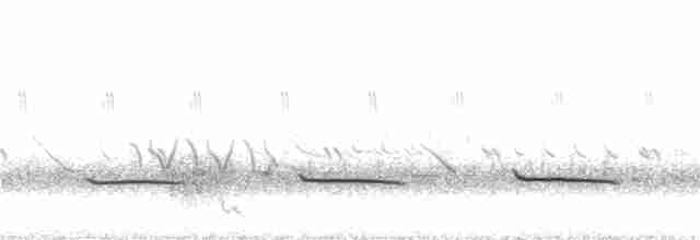 Tinamou sauvageon - ML404399611