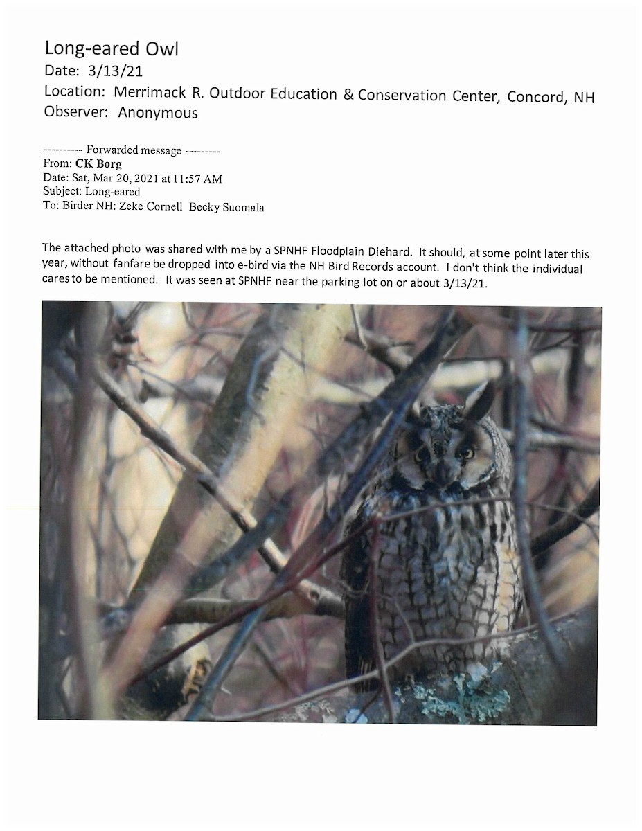 Long-eared Owl - NH Bird Records Data